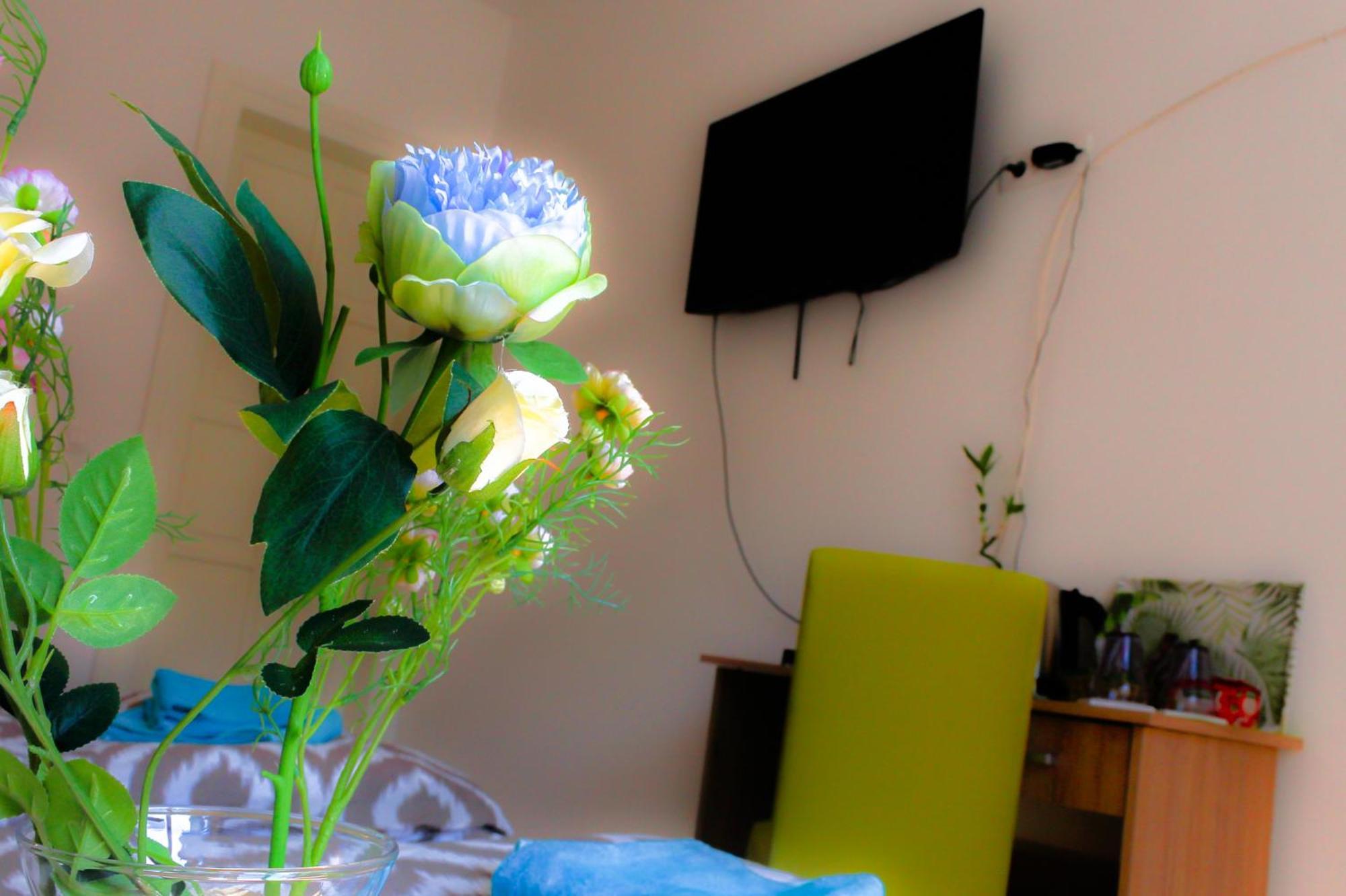 Fluminis Rooms Rijeka Eksteriør billede